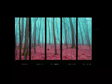 Модульная картина Picsis