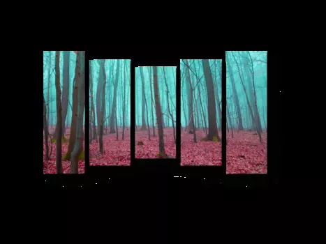 Модульная картина Picsis