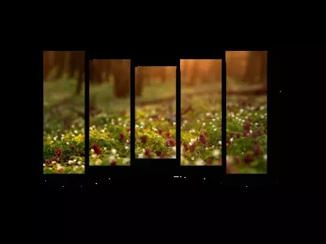 Модульная картина Picsis