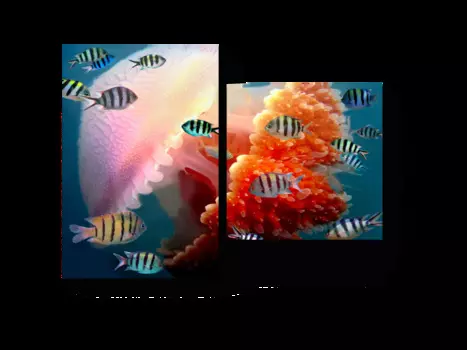 Модульная картина Picsis