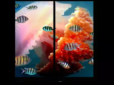 Модульная картина Picsis