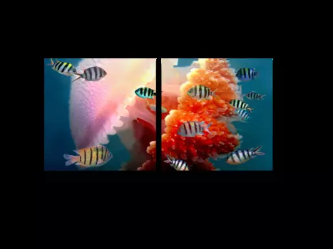 Модульная картина Picsis