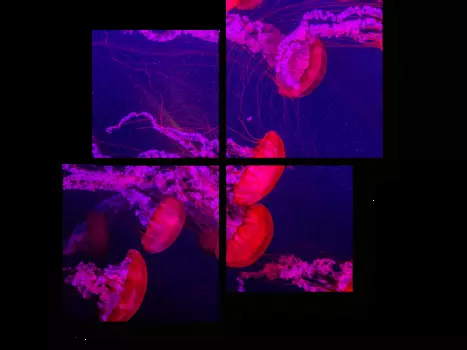 Модульная картина Picsis