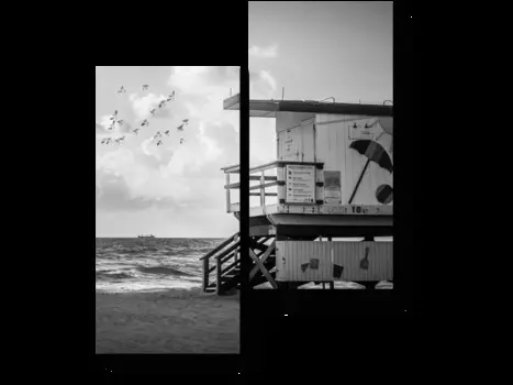 Модульная картина Picsis