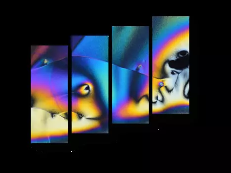 Модульная картина Picsis