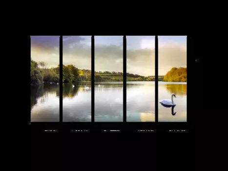 Модульная картина Picsis