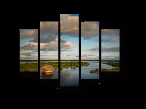 Модульная картина Picsis