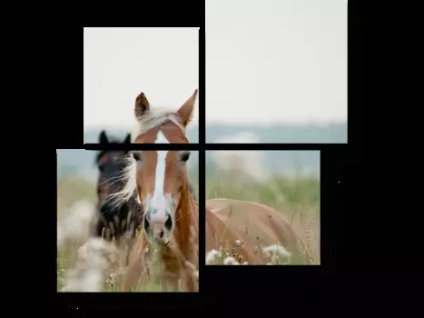 Модульная картина Picsis