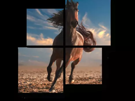 Модульная картина Picsis