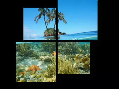 Модульная картина Picsis