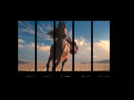 Модульная картина Picsis