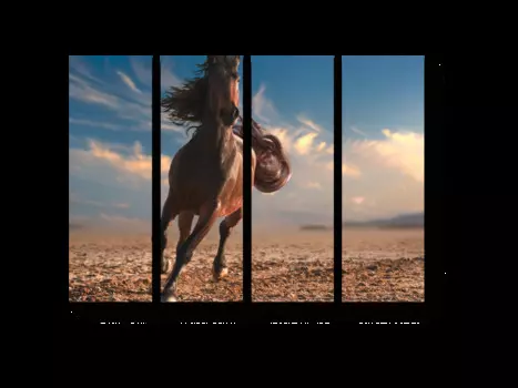 Модульная картина Picsis