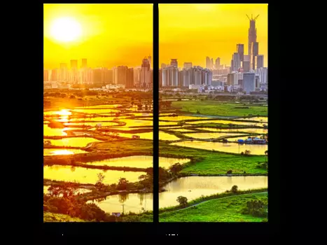 Модульная картина Picsis