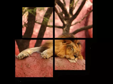 Модульная картина Picsis