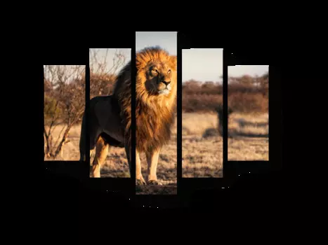 Модульная картина Picsis