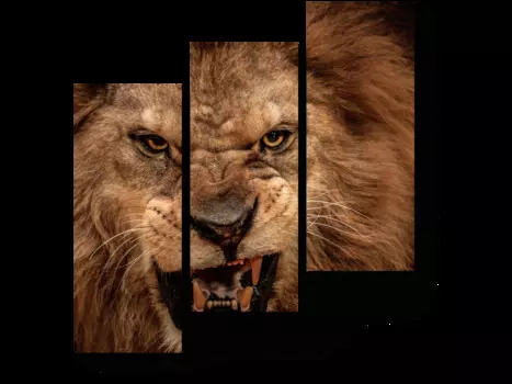 Модульная картина Picsis