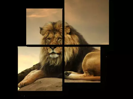 Модульная картина Picsis