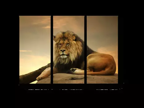 Модульная картина Picsis