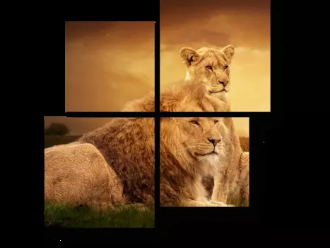 Модульная картина Picsis