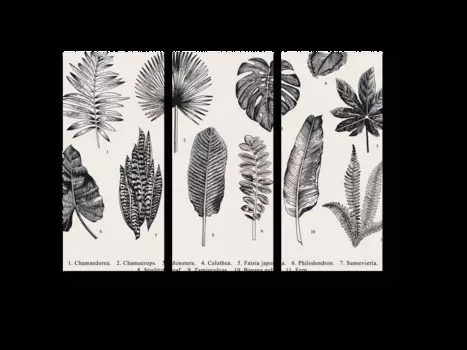 Модульная картина Picsis