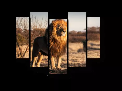 Модульная картина Picsis