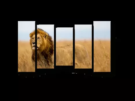 Модульная картина Picsis