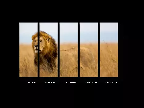 Модульная картина Picsis