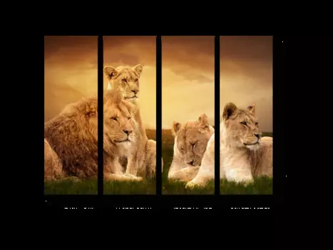 Модульная картина Picsis