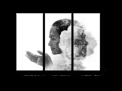 Модульная картина Picsis