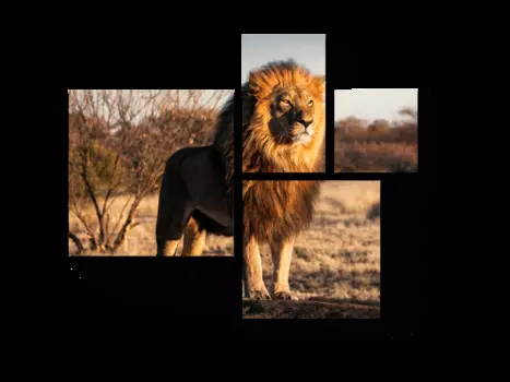 Модульная картина Picsis