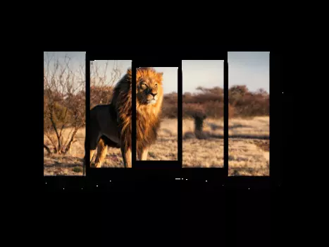 Модульная картина Picsis