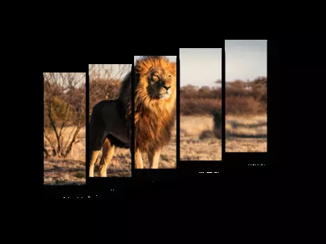 Модульная картина Picsis