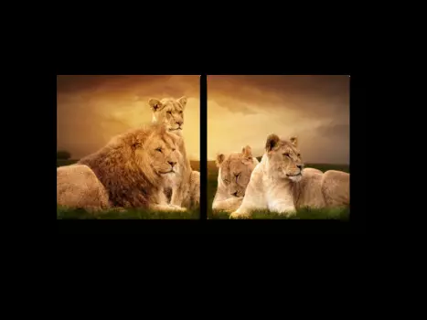 Модульная картина Picsis