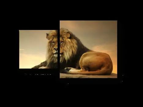 Модульная картина Picsis