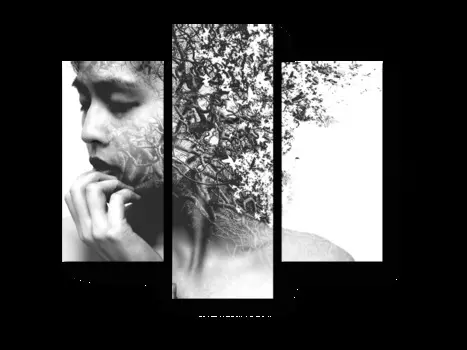 Модульная картина Picsis