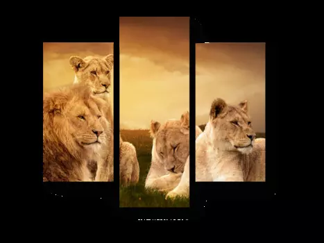 Модульная картина Picsis