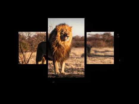 Модульная картина Picsis