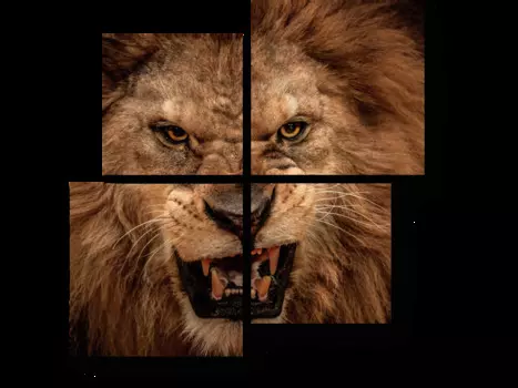 Модульная картина Picsis