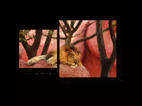 Модульная картина Picsis