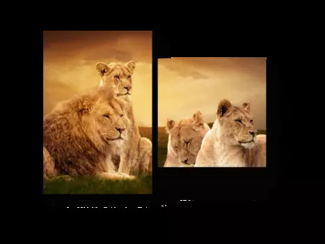 Модульная картина Picsis