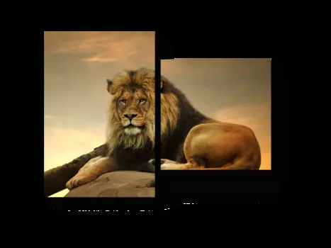 Модульная картина Picsis