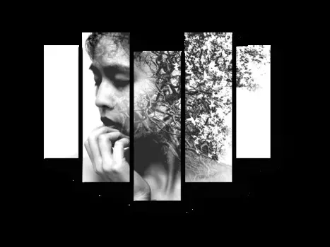 Модульная картина Picsis