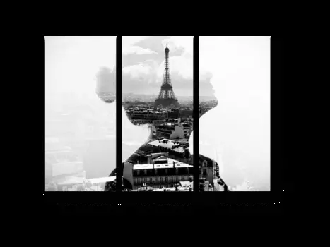 Модульная картина Picsis