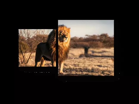 Модульная картина Picsis