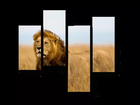 Модульная картина Picsis