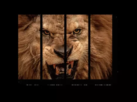 Модульная картина Picsis