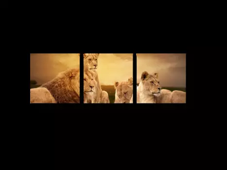 Модульная картина Picsis