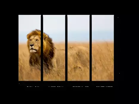 Модульная картина Picsis