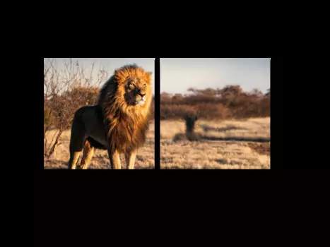 Модульная картина Picsis