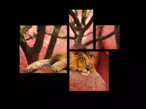 Модульная картина Picsis